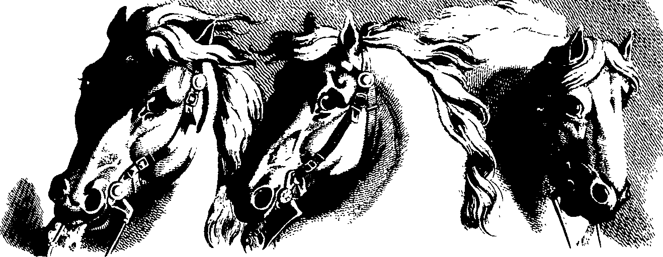 083/083600010201540_0.png