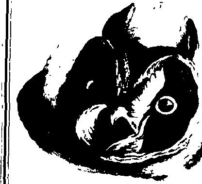083/083600010201560_2.png