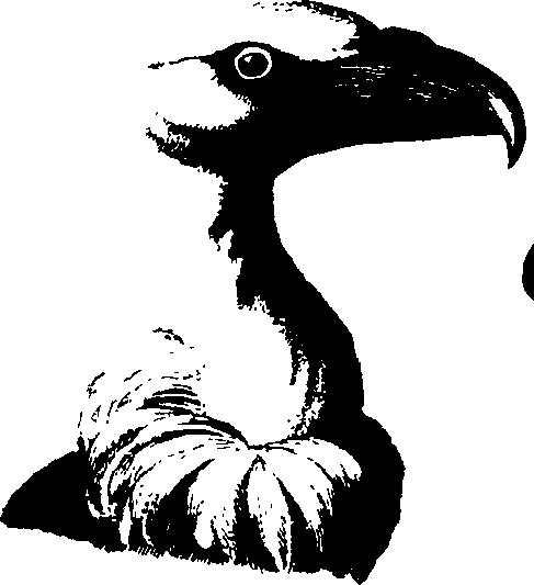 083/083600010201560_3.png
