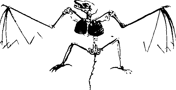 083/083600010201580_0.png