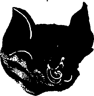 083/083600010201580_1.png