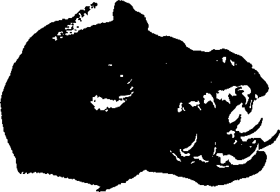 083/083600010201590_0.png