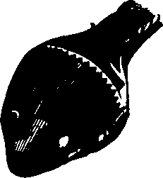 083/083600010201600_0.png
