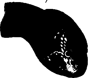 083/083600010201600_1.png