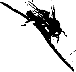 083/083600010201620_0.png