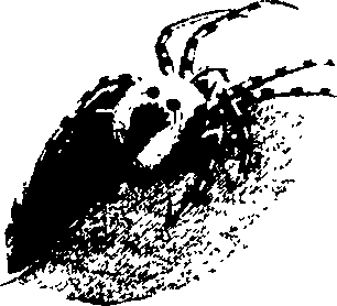 083/083600010201620_1.png