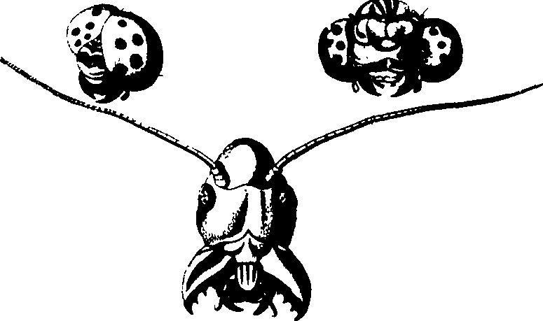 083/083600010201650_0.png