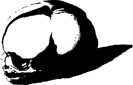083/083600010201920_0.png