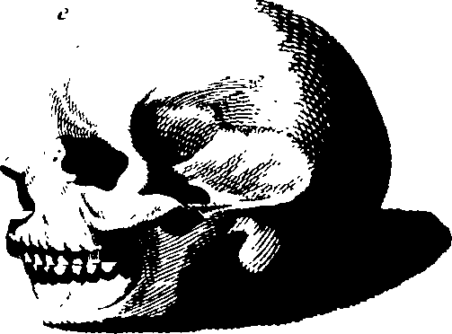 083/083600010201990_0.png