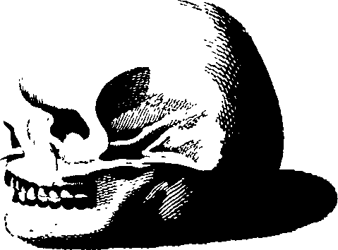 083/083600010201990_2.png