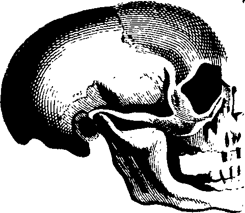 083/083600010201990_3.png