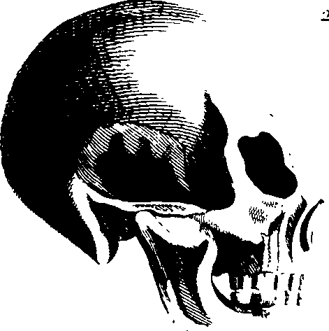 083/083600010201990_5.png
