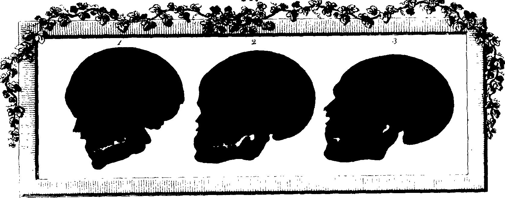 083/083600010202030_0.png