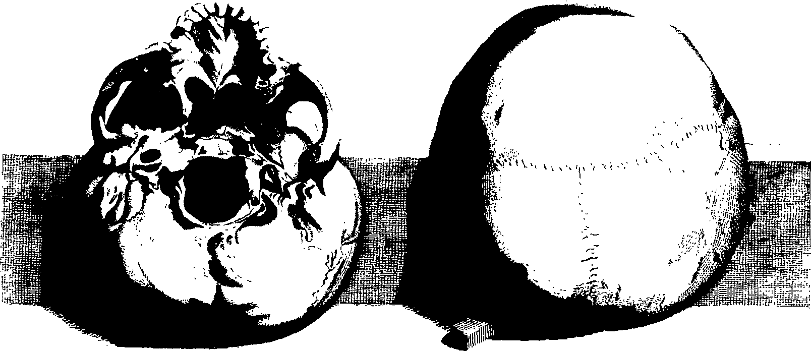 083/083600010202060_0.png