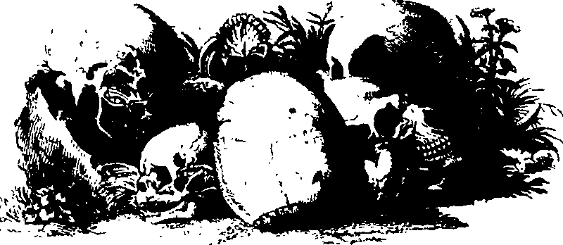 083/083600010202100_0.png