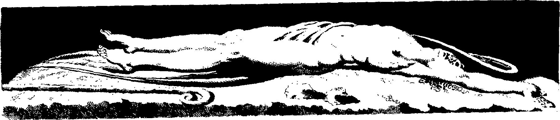 083/083600010203650_1.png