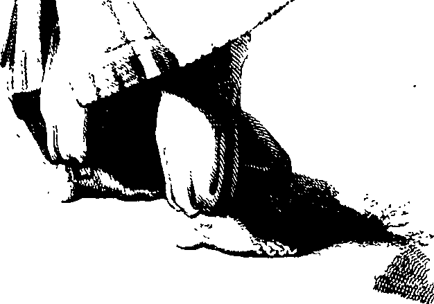 083/083600010203660_0.png