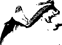 083/083600010203660_1.png