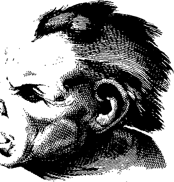 083/083600010203690_1.png