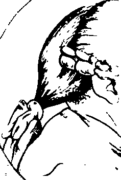 083/083600010203900_1.png
