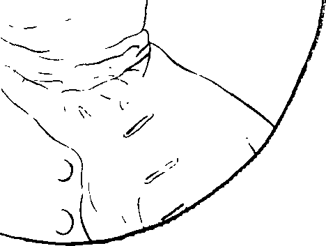 083/083600010203990_0.png