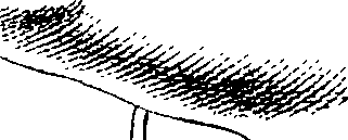 083/083600010204190_0.png