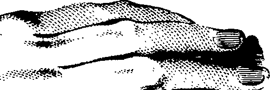 083/083600010204220_0.png