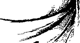 083/083600010204220_1.png