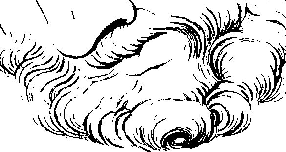 083/083600010204260_0.png
