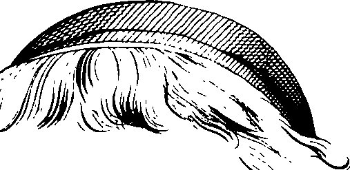 083/083600010300370_0.png
