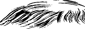 083/083600010300370_2.png