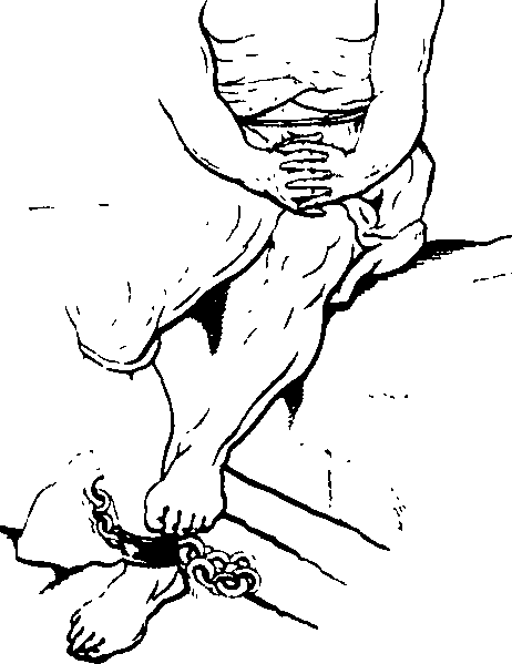 083/083600010302490_0.png