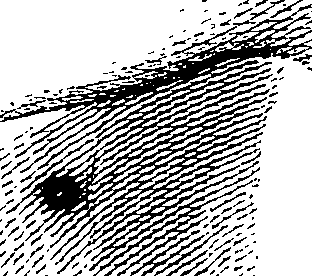 083/083600010302510_0.png