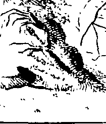 083/083600010302550_0.png