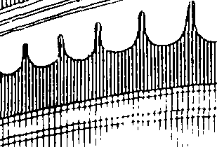 083/083600010302650_1.png