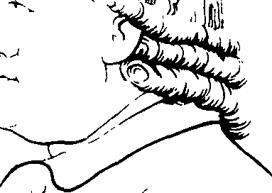 083/083600010302780_0.png