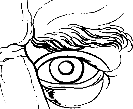 083/083600010303980_0.png