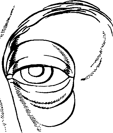 083/083600010303980_2.png