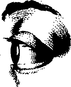 083/083600010304000_1.png