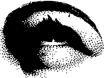 083/083600010304010_0.png
