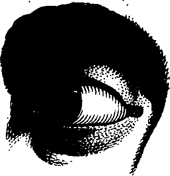 083/083600010304010_1.png