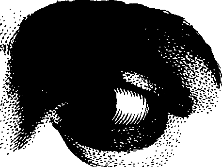 083/083600010304010_2.png