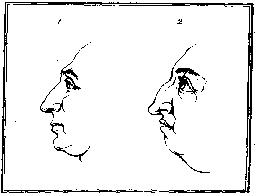 083/083600010304250_0.png
