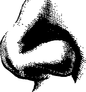 083/083600010304310_0.png