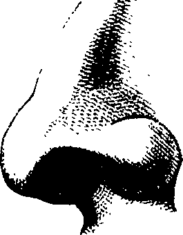 083/083600010304310_1.png