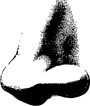 083/083600010304310_2.png