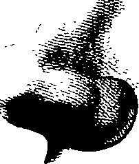 083/083600010304310_3.png
