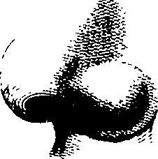 083/083600010304310_4.png