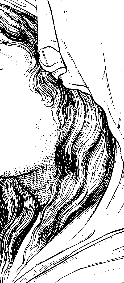 083/083600010304620_0.png