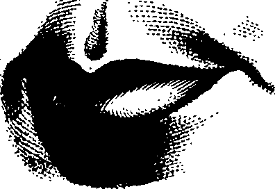 083/083600010304720_0.png